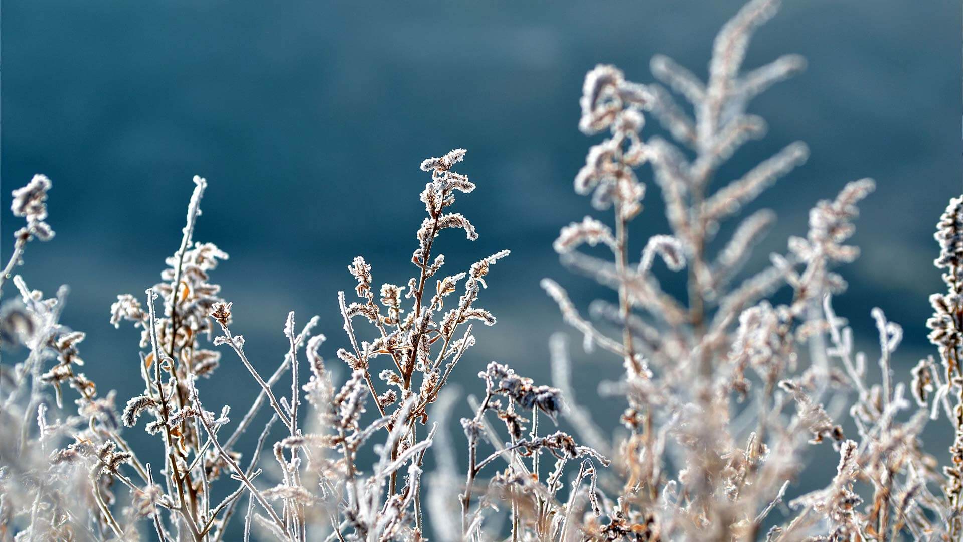 header-1920x1080_p-gaerten_Winterdienst header-1920x1080_p-gaerten_Winterdienst
